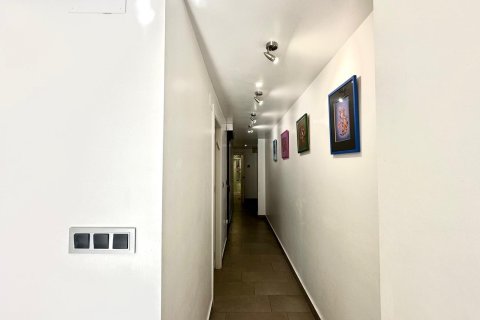 Huoneisto myytävänä Torrevieja, Alicante, Espanja, 3 makuuhuonetta, 93 m2 No. 146429 - kuva 30