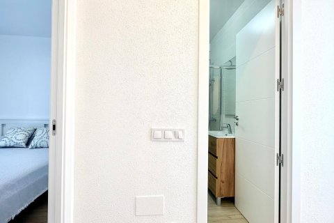 Kamienica w Torrevieja, Alicante, Hiszpania 3 sypialnie, 65 mkw. nr 146430 – zdjęcie 27