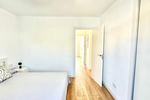 Kamienica w Torrevieja, Alicante, Hiszpania 3 sypialnie, 65 mkw. nr 146430 – zdjęcie 12