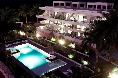Takvåning till salu Finestrat, Alicante, Spanien 2 sovrum, 68 kvm. Nr. 112513 - foto 14