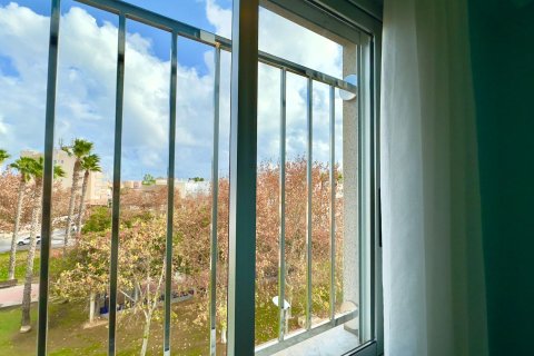 Liikekiinteistö myytävänä Torrevieja, Alicante, Espanja, 12 makuuhuonetta, 335 m2 No. 166020 - kuva 21