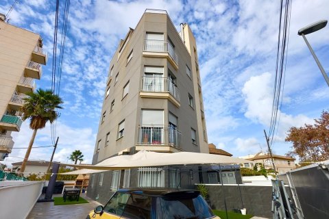Liikekiinteistö Torrevieja, Alicante, Espanja 12 makuuhuonetta, 335 m2 No. 166020