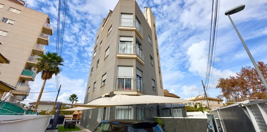Liikekiinteistö Torrevieja, Alicante, Espanja 12 makuuhuonetta, 335 m2 No. 166020