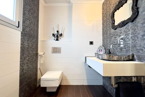 Liikekiinteistö myytävänä Torrevieja, Alicante, Espanja, 12 makuuhuonetta, 335 m2 No. 166020 - kuva 12