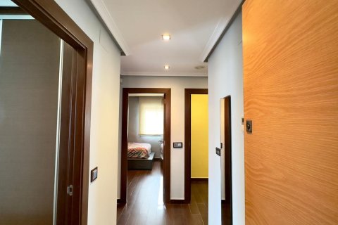 Liikekiinteistö myytävänä Torrevieja, Alicante, Espanja, 12 makuuhuonetta, 335 m2 No. 166020 - kuva 8