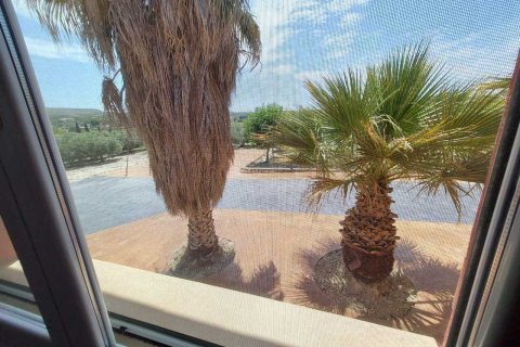 Продажа виллы в Каласпарра, Мурсия, Испания 3 спальни, 350м2 №163142 - фото 27