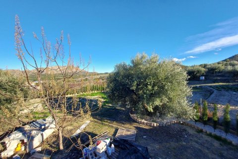 Продажа виллы в Каласпарра, Мурсия, Испания 4 спальни, 170м2 №163140 - фото 8