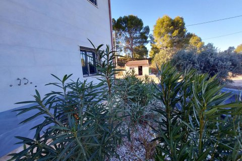 Продажа виллы в Каласпарра, Мурсия, Испания 4 спальни, 170м2 №163140 - фото 13