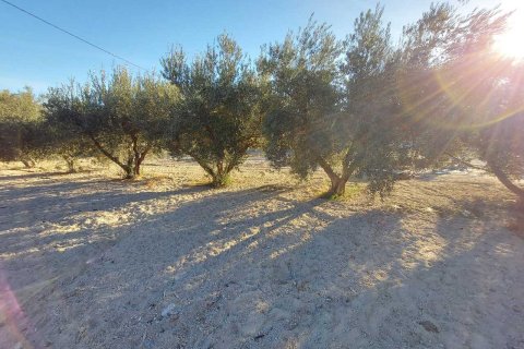 Продажа виллы в Каласпарра, Мурсия, Испания 3 спальни, 140м2 №163141 - фото 20