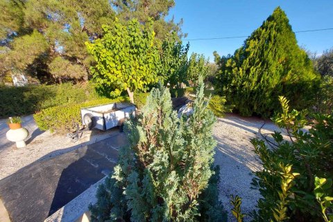 Продажа виллы в Каласпарра, Мурсия, Испания 3 спальни, 140м2 №163141 - фото 30