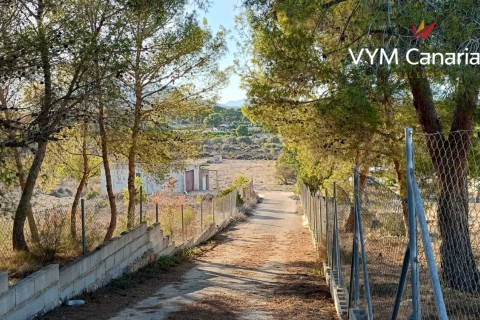 Land plot for sale Alfaz del Pi, Alicante, Spain 1 bedroom, 156 sq.m. No. 107997 - photo 3