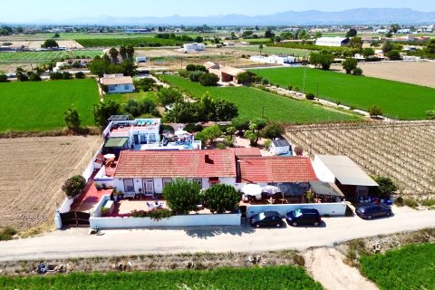 Villa pārdošanā Dolores, Alicante, Spānijā 7 istabas, 374 m2 Nr. 139952 - attēls 1