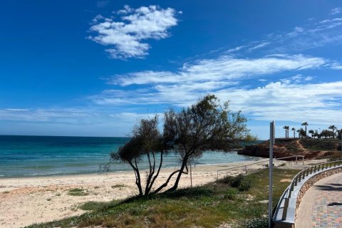 Apartament w Pilar de la Horadada, Alicante, Hiszpania 2 sypialnie, 65 mkw. nr 149103 – zdjęcie 18