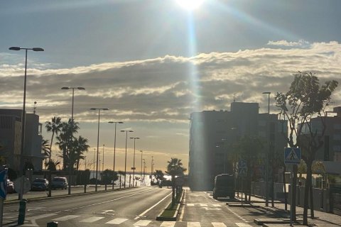 Apartament w Pilar de la Horadada, Alicante, Hiszpania 2 sypialnie, 65 mkw. nr 149103 – zdjęcie 19