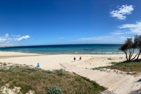 Apartament w Pilar de la Horadada, Alicante, Hiszpania 2 sypialnie, 65 mkw. nr 149103 – zdjęcie 17