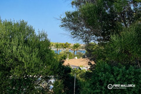 Appartamento in affitto a Portocolom, Mallorca, Spagna 3 camere da letto, 97 mq. N° 193656 - foto 14