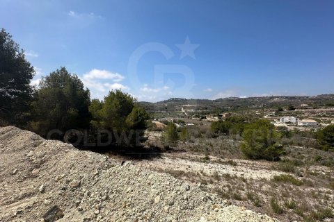 Продажа земельного участка в Теулада, Аликанте, Испания 20000м2 №160121 - фото 7