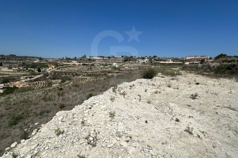 Продажа земельного участка в Теулада, Аликанте, Испания 20000м2 №160121 - фото 8