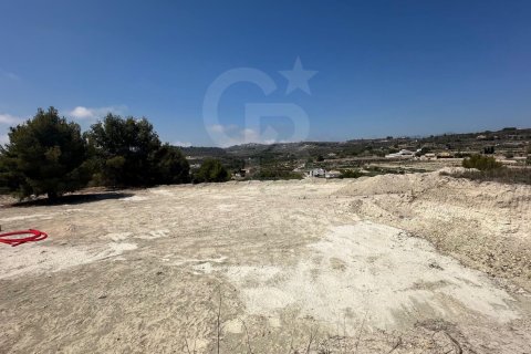 Продажа земельного участка в Теулада, Аликанте, Испания 20000м2 №160121 - фото 11