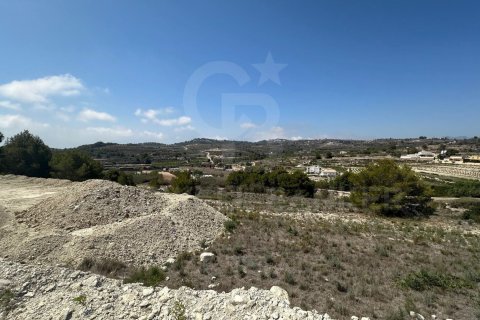 Продажа земельного участка в Теулада, Аликанте, Испания 20000м2 №160121 - фото 10