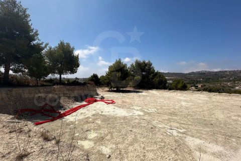 Продажа земельного участка в Теулада, Аликанте, Испания 20000м2 №160121 - фото 12