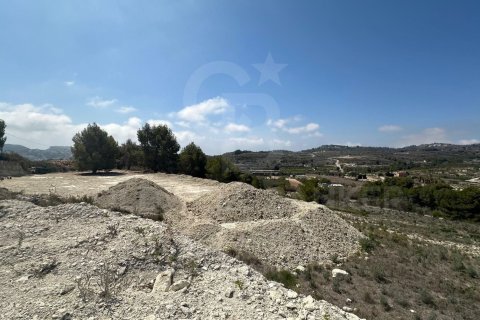 Продажа земельного участка в Теулада, Аликанте, Испания 20000м2 №160121 - фото 9