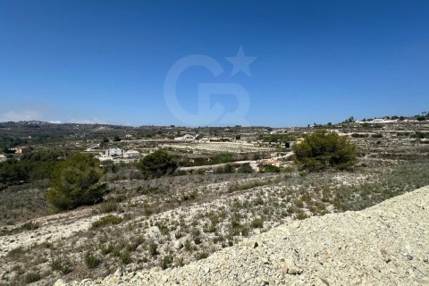 Продажа земельного участка в Теулада, Аликанте, Испания 20000м2 №160121 - фото 5