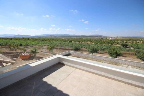 Huvila myytävänä Pinoso, Alicante, Espanja, 4 makuuhuonetta, 220 m2 No. 170617 - kuva 3