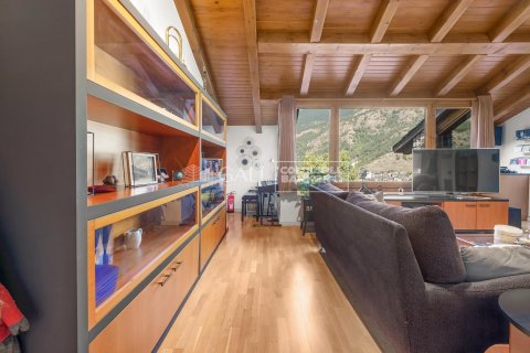 Penthouse w Principado De Andorra (Ninguna Poblacion Tiene C.P.), Lleida, Hiszpania 3 sypialnie, 197 mkw. nr 157966 – zdjęcie 3