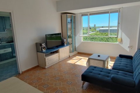 Продажа квартиры в Борриана, Кастельон, Испания 3 спальни, 88м2 №184716 - фото 3