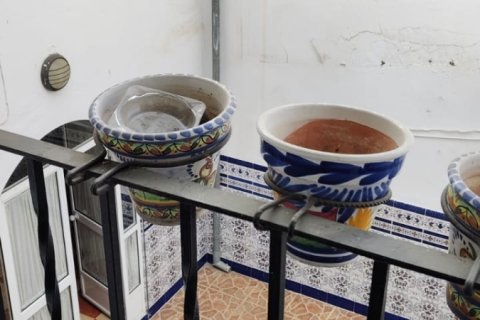 Villa for sale in Ecija, Seville, Spain 8 bedrooms, 224 sq.m. No. 152840 - photo 6