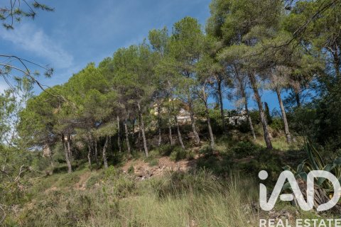 Apartament w Almassora, Castellon, Hiszpania 5 sypialni, 457 mkw. nr 152841 – zdjęcie 5