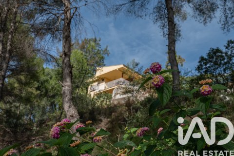 Apartament w Almassora, Castellon, Hiszpania 5 sypialni, 457 mkw. nr 152841 – zdjęcie 3