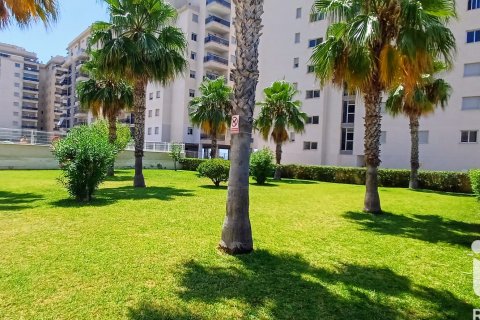 Huoneisto myytävänä San Javier, Murcia, Espanja, 2 makuuhuonetta, 71 m2 No. 152837 - kuva 17
