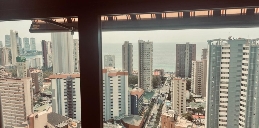 Appartamento Benidorm, Alicante, Spagna 1 camera da letto, 55 mq. N° 133118