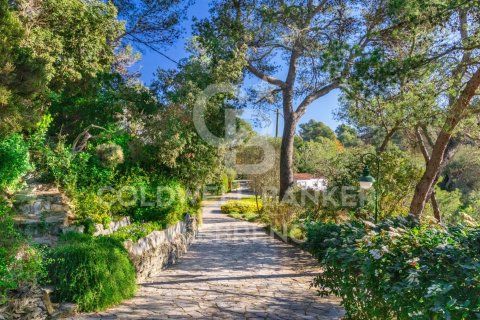 House for sale in Barcelona, Spain 6 bedrooms, 802 sq.m. No. 159584 - photo 28