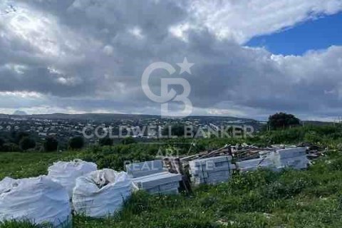 Willa w Sotogrande, Cadiz, Hiszpania 4 sypialnie, 500 mkw. nr 159586 – zdjęcie 16