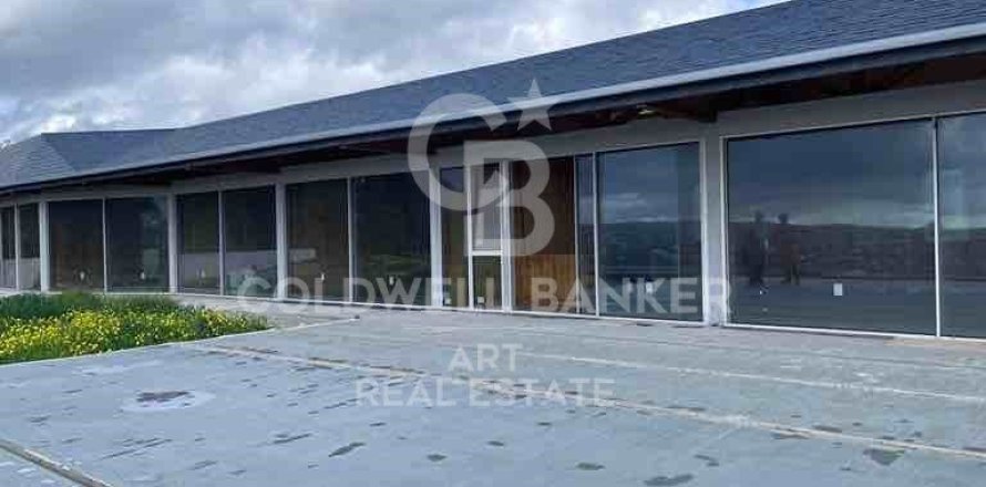 Willa w Sotogrande, Cadiz, Hiszpania 4 sypialnie, 500 mkw. nr 159586