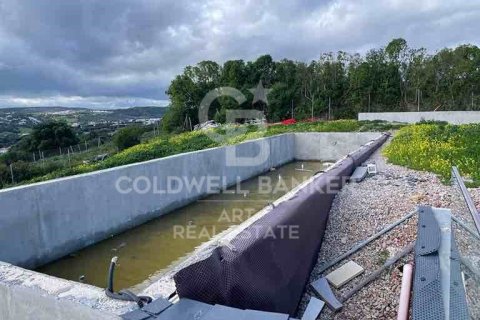 Willa w Sotogrande, Cadiz, Hiszpania 4 sypialnie, 500 mkw. nr 159586 – zdjęcie 15