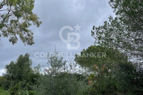 Land zum Verkauf in Sotogrande, Cadiz, Spanien 2000 m2 Nr. 159585 - Foto 15