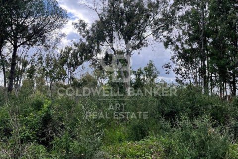 Land zum Verkauf in Sotogrande, Cadiz, Spanien 2000 m2 Nr. 159585 - Foto 13