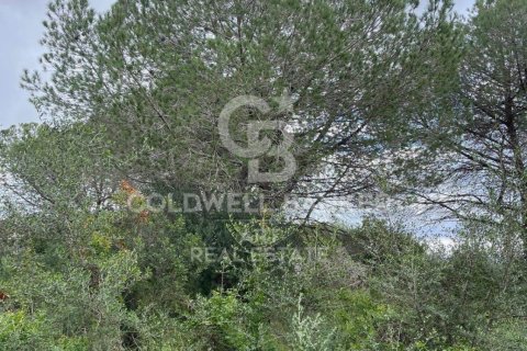 Land zum Verkauf in Sotogrande, Cadiz, Spanien 2000 m2 Nr. 159585 - Foto 19