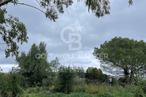 Parcela en venta en Sotogrande, Cádiz, España 2000 m2 No. 159585 - foto 11