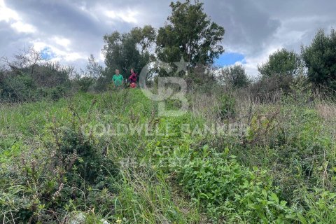 Land zum Verkauf in Sotogrande, Cadiz, Spanien 2000 m2 Nr. 159585 - Foto 11
