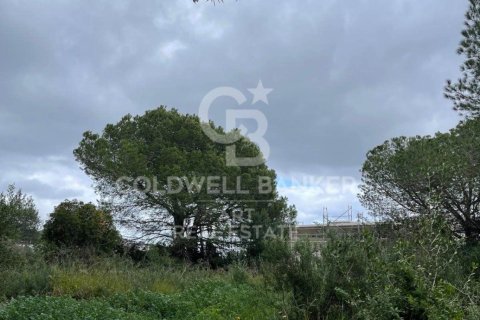 Parcela en venta en Sotogrande, Cádiz, España 2000 m2 No. 159585 - foto 16