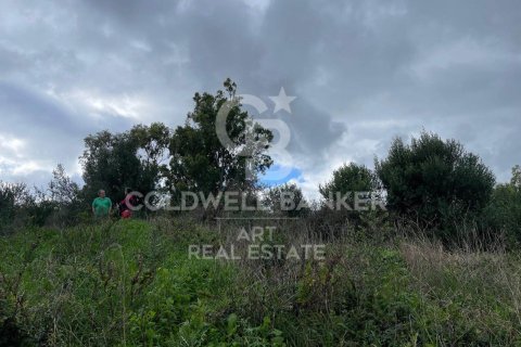 Land zum Verkauf in Sotogrande, Cadiz, Spanien 2000 m2 Nr. 159585 - Foto 10
