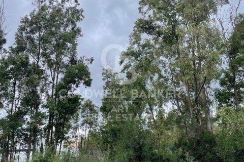 Land zum Verkauf in Sotogrande, Cadiz, Spanien 2000 m2 Nr. 159585 - Foto 14
