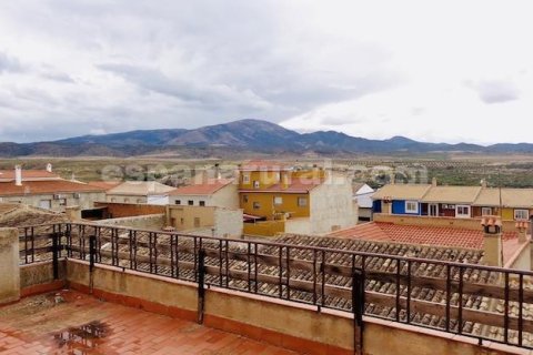 Dzīvoklis pārdošanā Caniles, Granada, Spānijā 9 istabas, 438 m2 Nr. 183992 - attēls 20