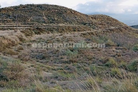 Terreno in vendita a Somontin, Almeria, Spagna 4 camere da letto, 190 mq. N° 183988 - foto 12