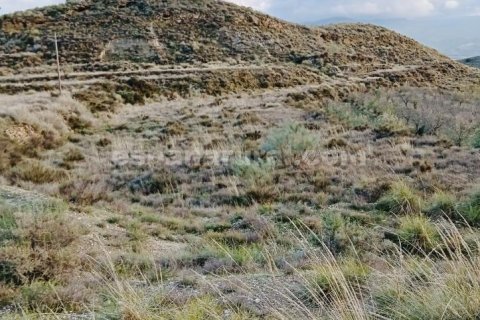 Terreno in vendita a Somontin, Almeria, Spagna 4 camere da letto, 190 mq. N° 183988 - foto 15